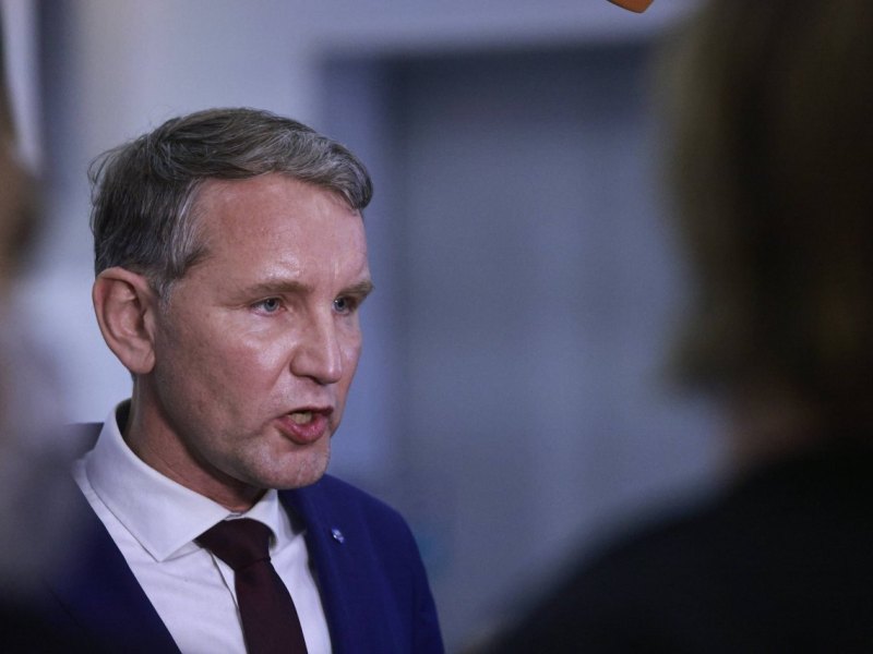 afd höcke.jpg