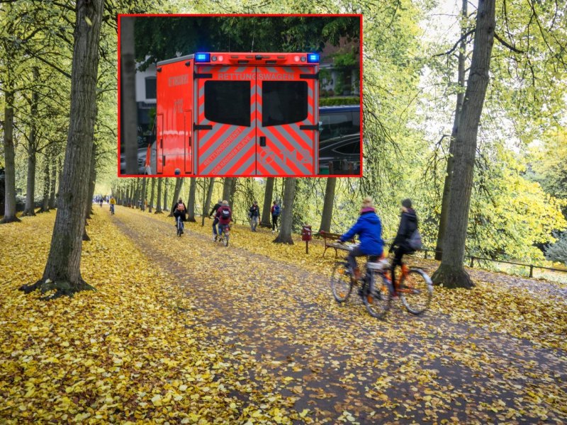 arnstadt-rad-neu.jpg