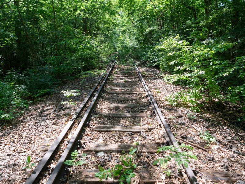 bahn thüringen werrabahn höllentalbahn