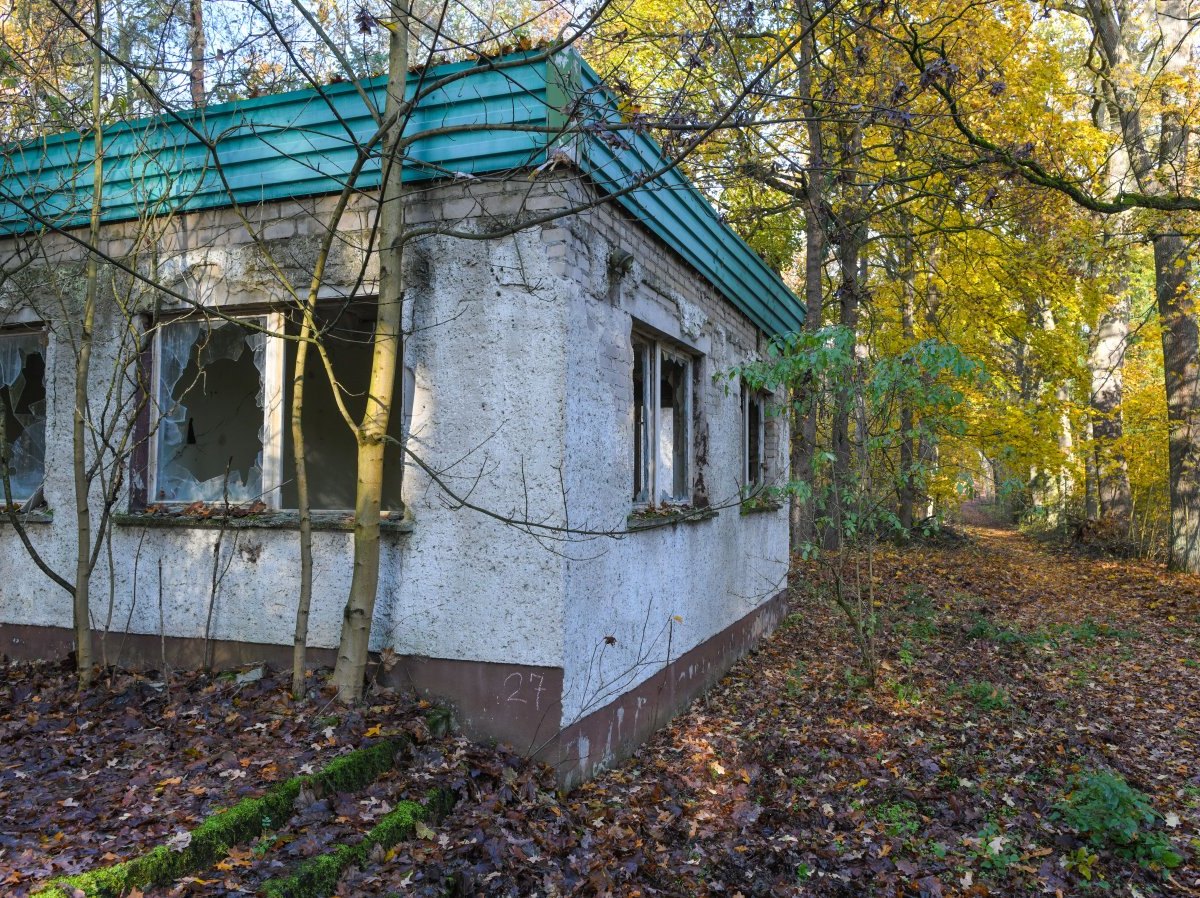 baracke wald leiche thüringen