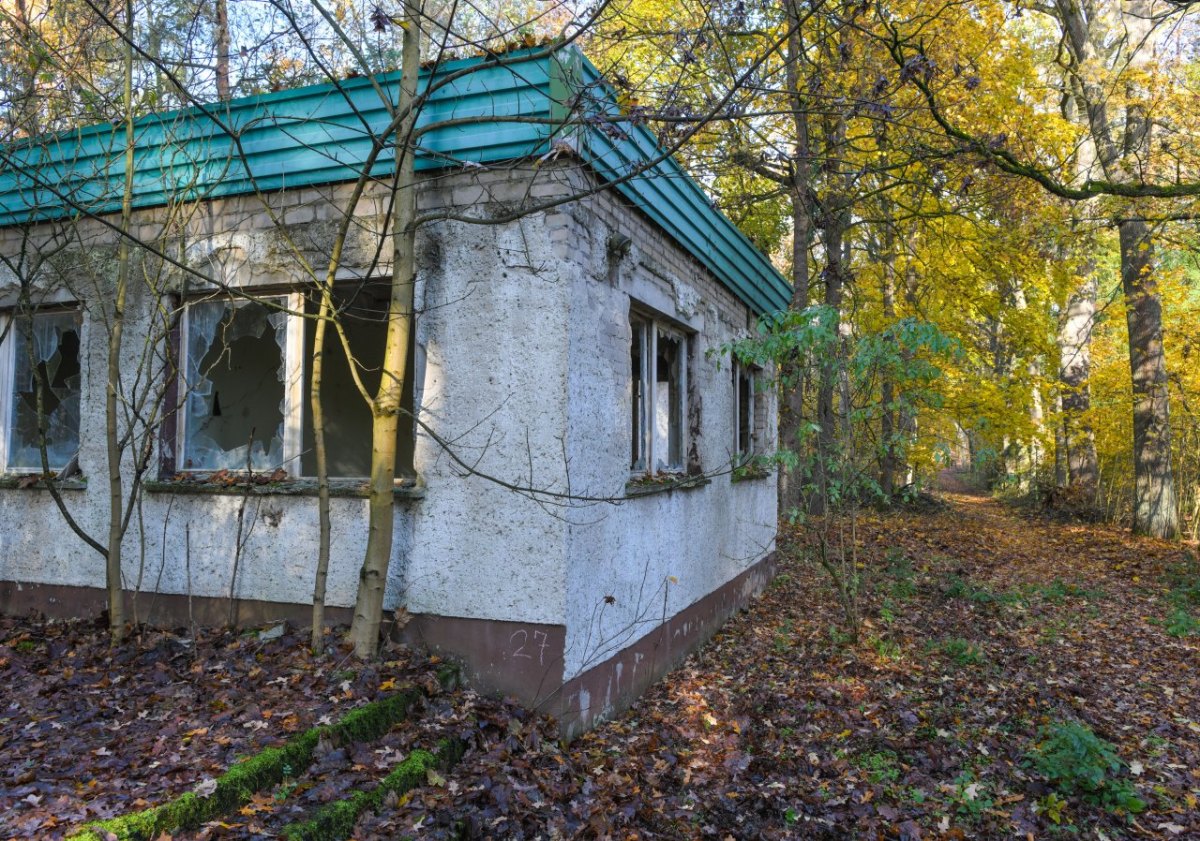 baracke wald leiche thüringen