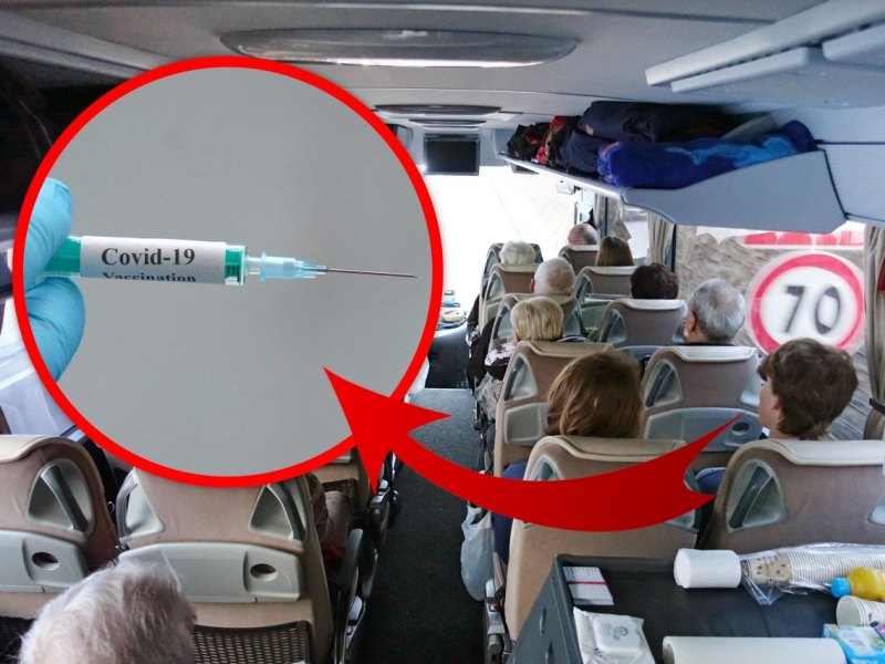 bussiecorona.jpg