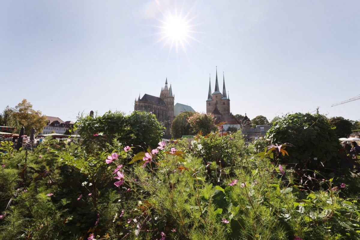 domplatz erfurt