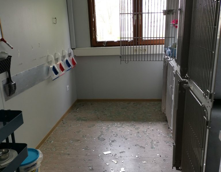 einbruch.jpg