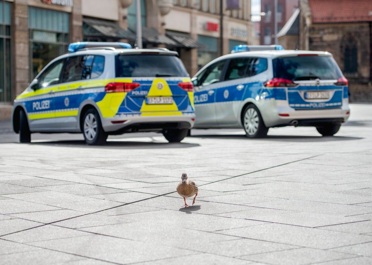 erfurt anger polizei