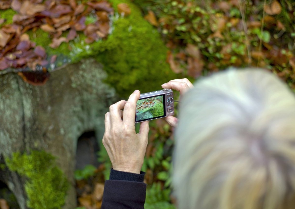 frau fotografiert wald steigerwald erfurt