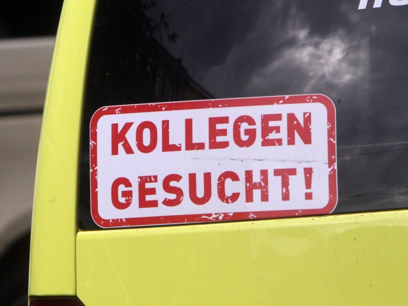 kollegi.jpg