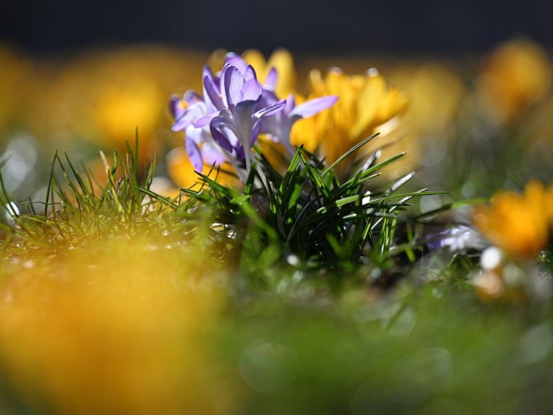 wetter in thüringen frühling.jpg