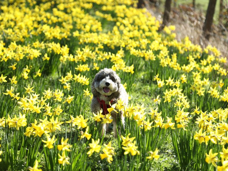 wetter thüringen frühling.jpg