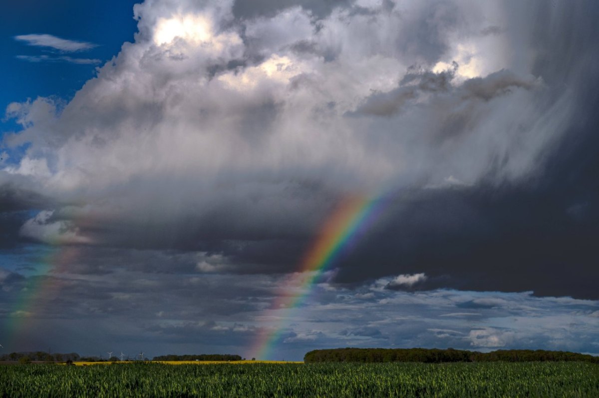 wetterthüringen.jpg