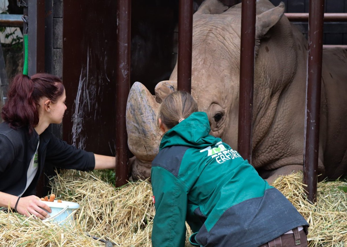 zoo erfurt 3.jpg