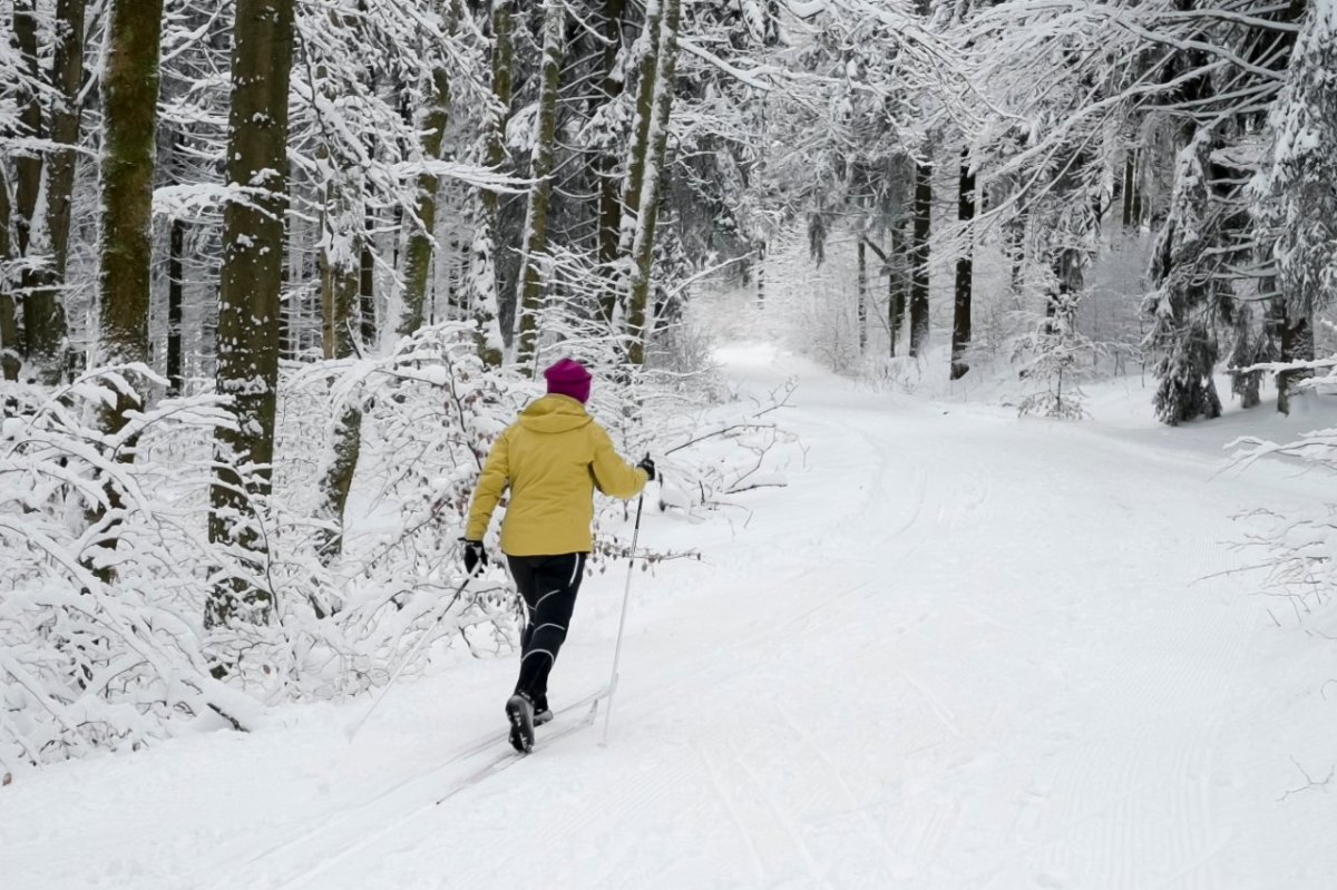 Thüringer Wald schnee winter