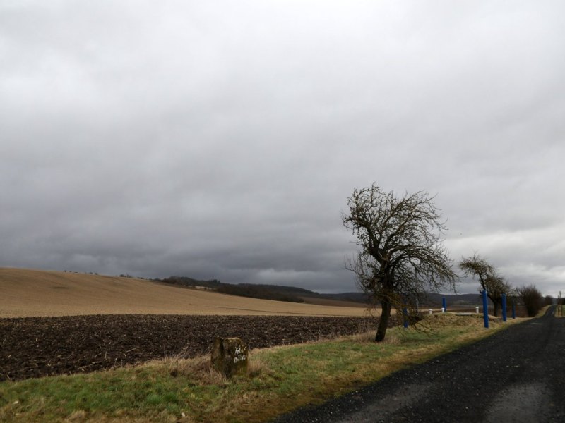 Wetter in Thüringen