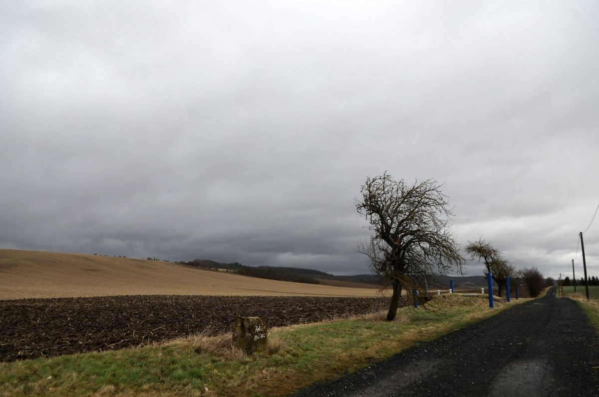 Wetter in Thüringen