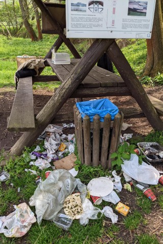 Obwohl im Mülleimer noch genug Platz war, liegt der Abfall auf dem Waldboden. 