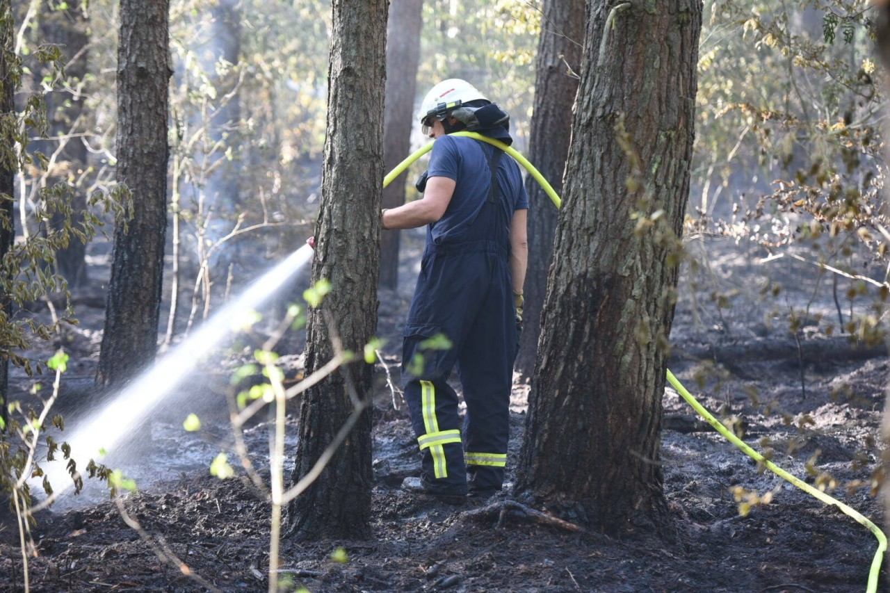 Die Feuerwehr war in Gera mehrere Stunden im Einsatz! (Symbolbild)