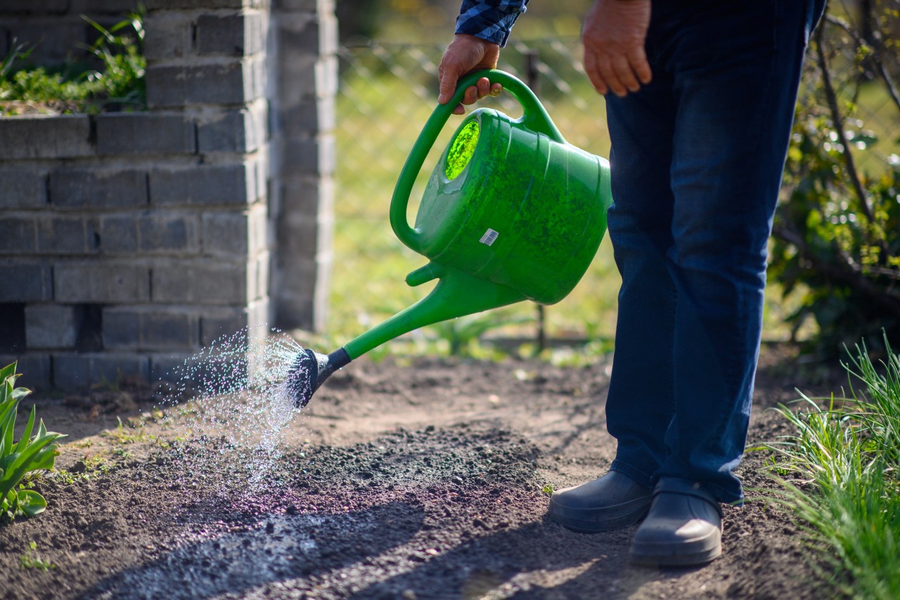 Einfach Wasser abschöpfen, um den Garten zu gießen? HIER ist das im Weimarer Land ab sofort verboten. (Symbolbild)