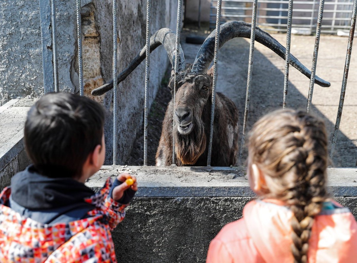 Zoo Erfurt.jpg