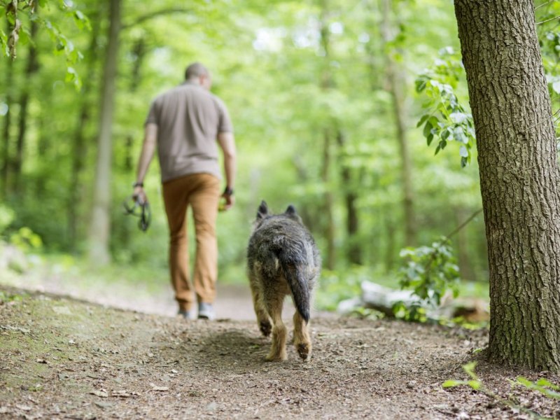 Schmalkalden Hund