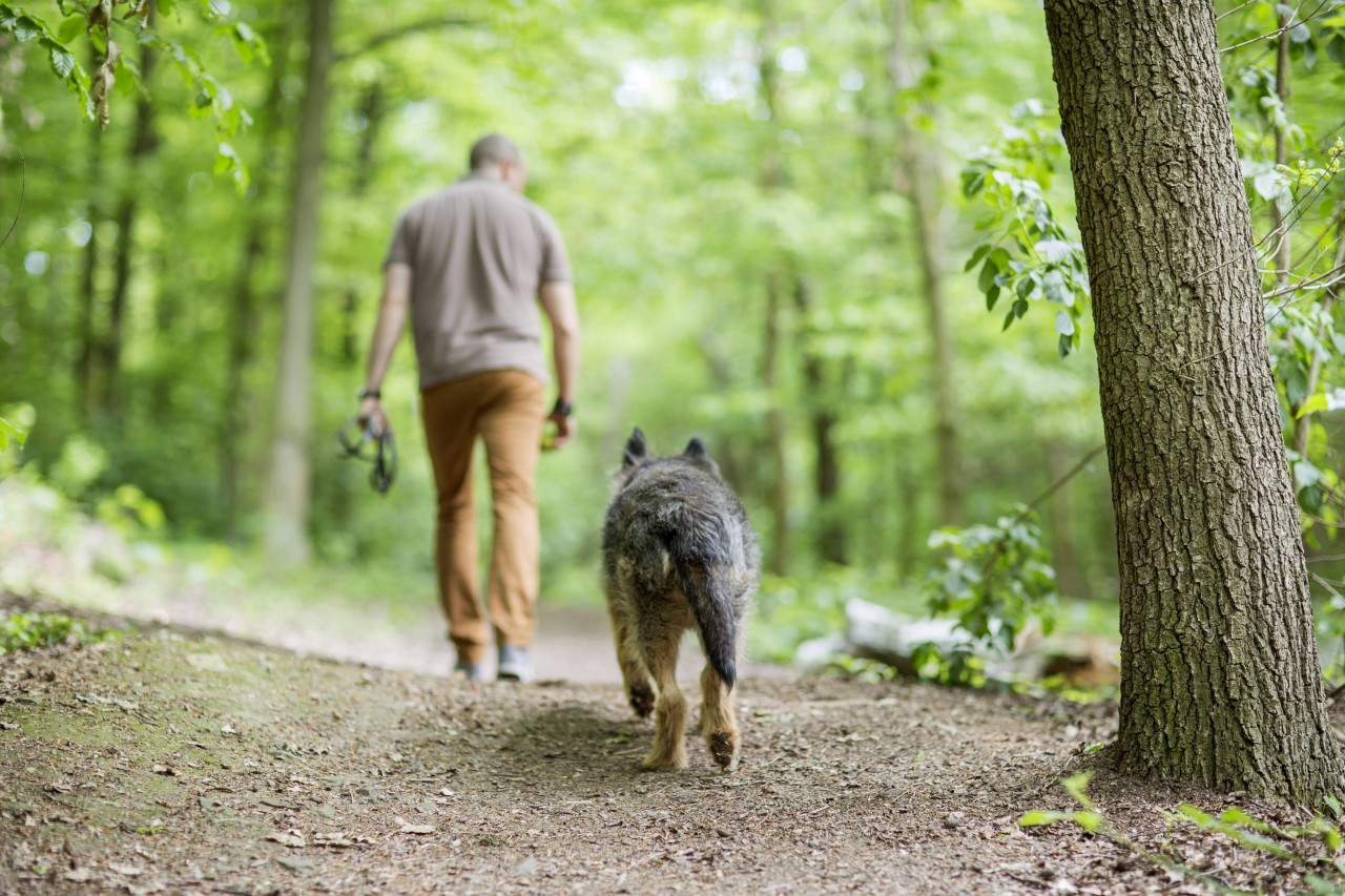 Schmalkalden: Als ein Hundebesitzer DAS sieht, kommt es zum Streit. (Symbolbild) 