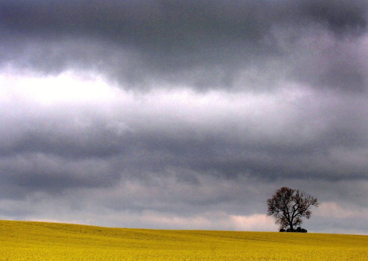 Wetter in ThÃ¼ringen.jpg