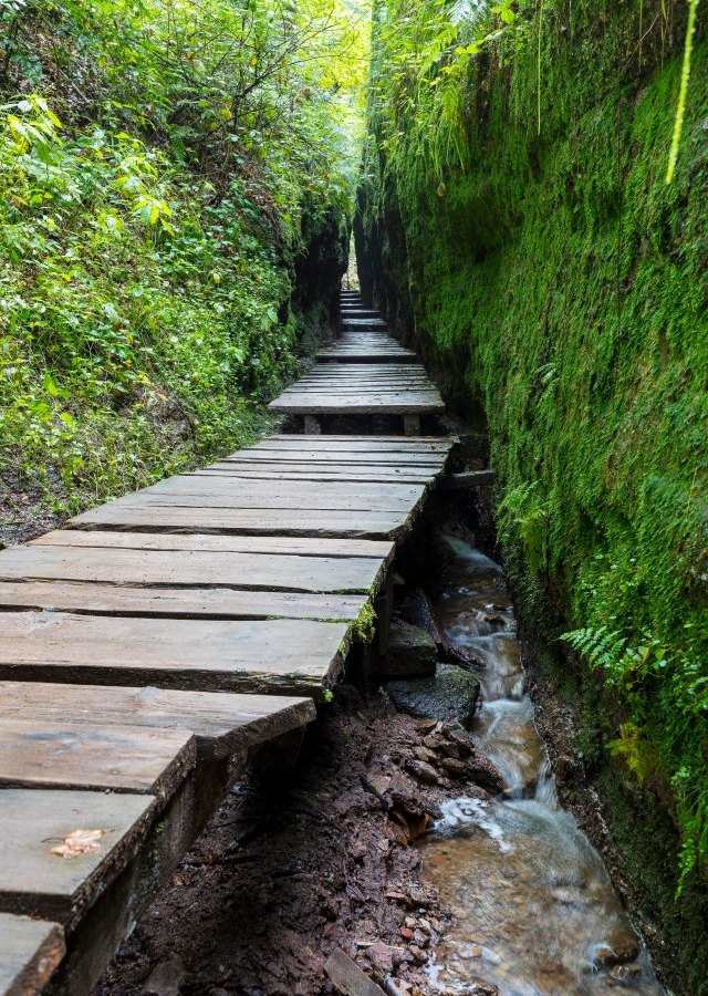 drachenschlucht eisenach.jpg