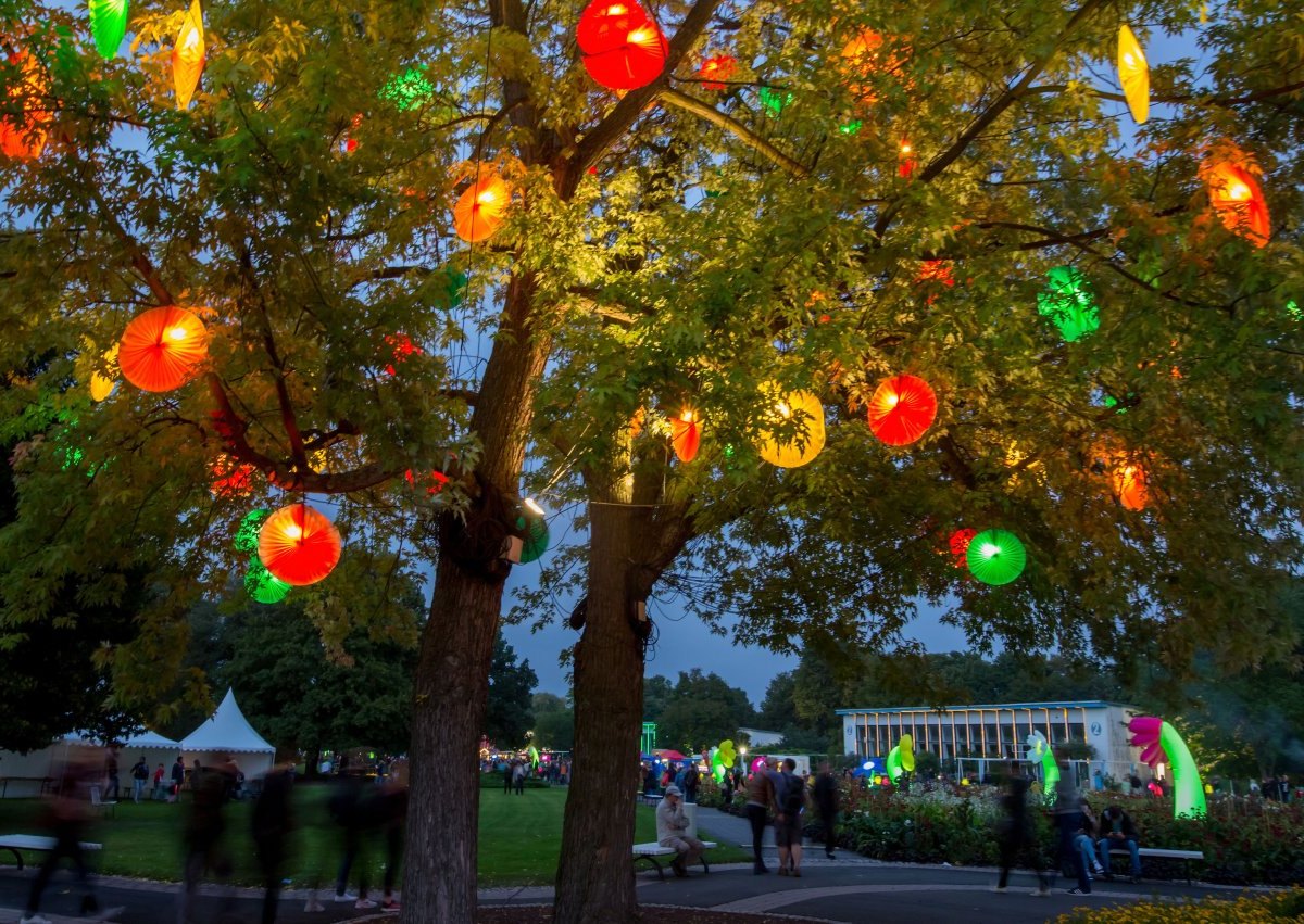 Erfurt Lichterfest.jpg