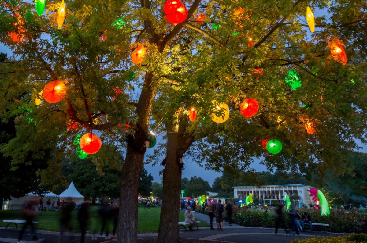 Erfurt Lichterfest.jpg