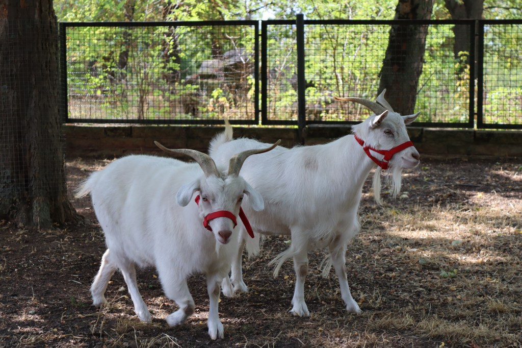 Zoo Erfurt