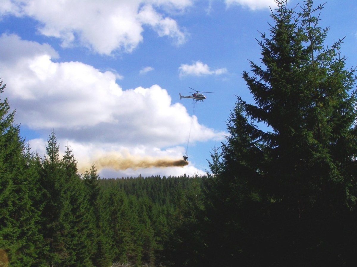 ThÃ¼ringer Wald.jpg