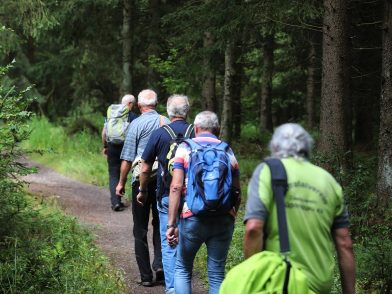 Thüringer Wald.jpg
