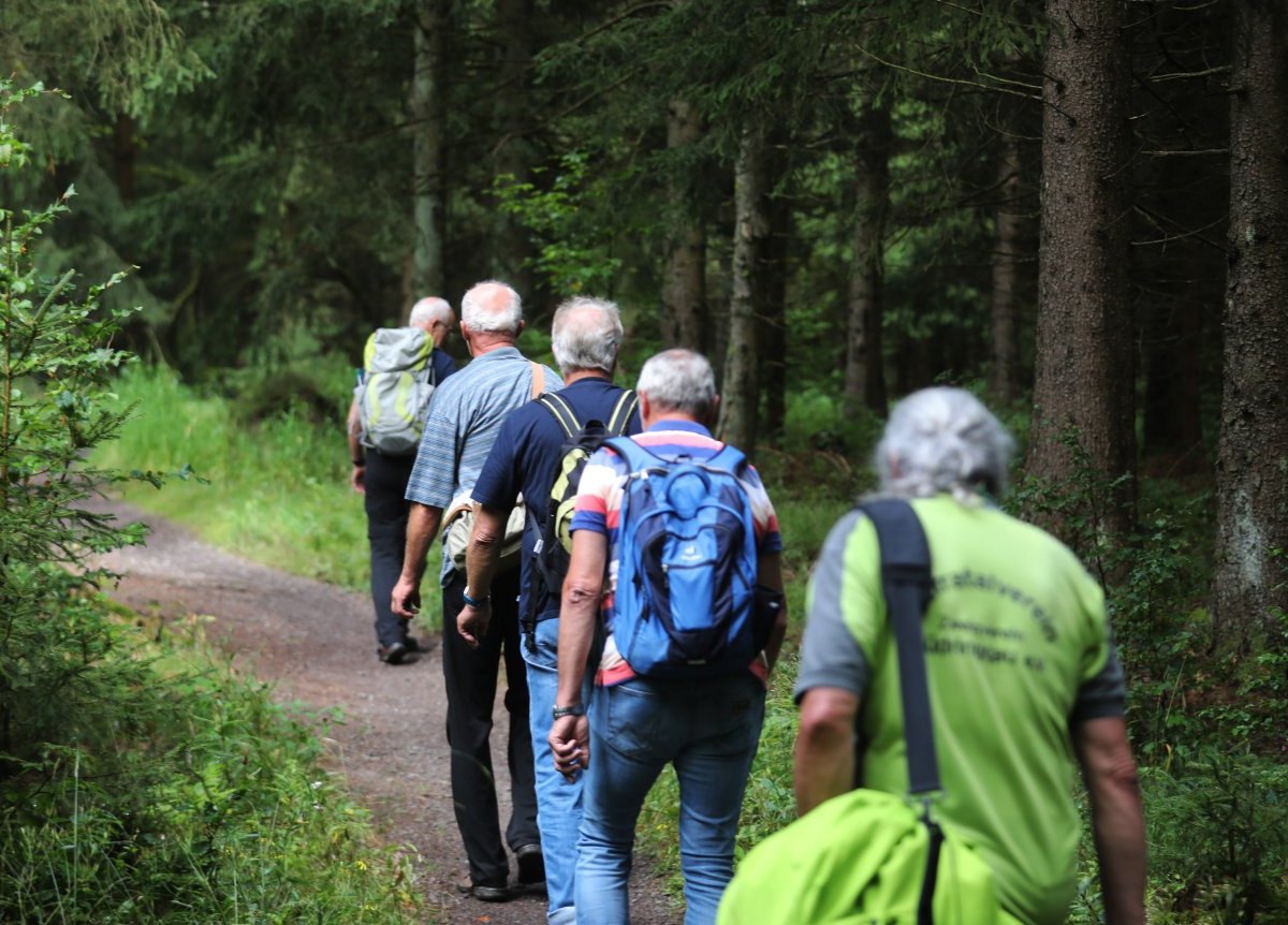 ThÃ¼ringer Wald.jpg