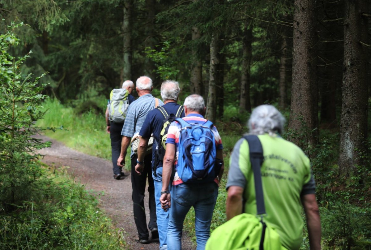 Thüringer Wald.jpg