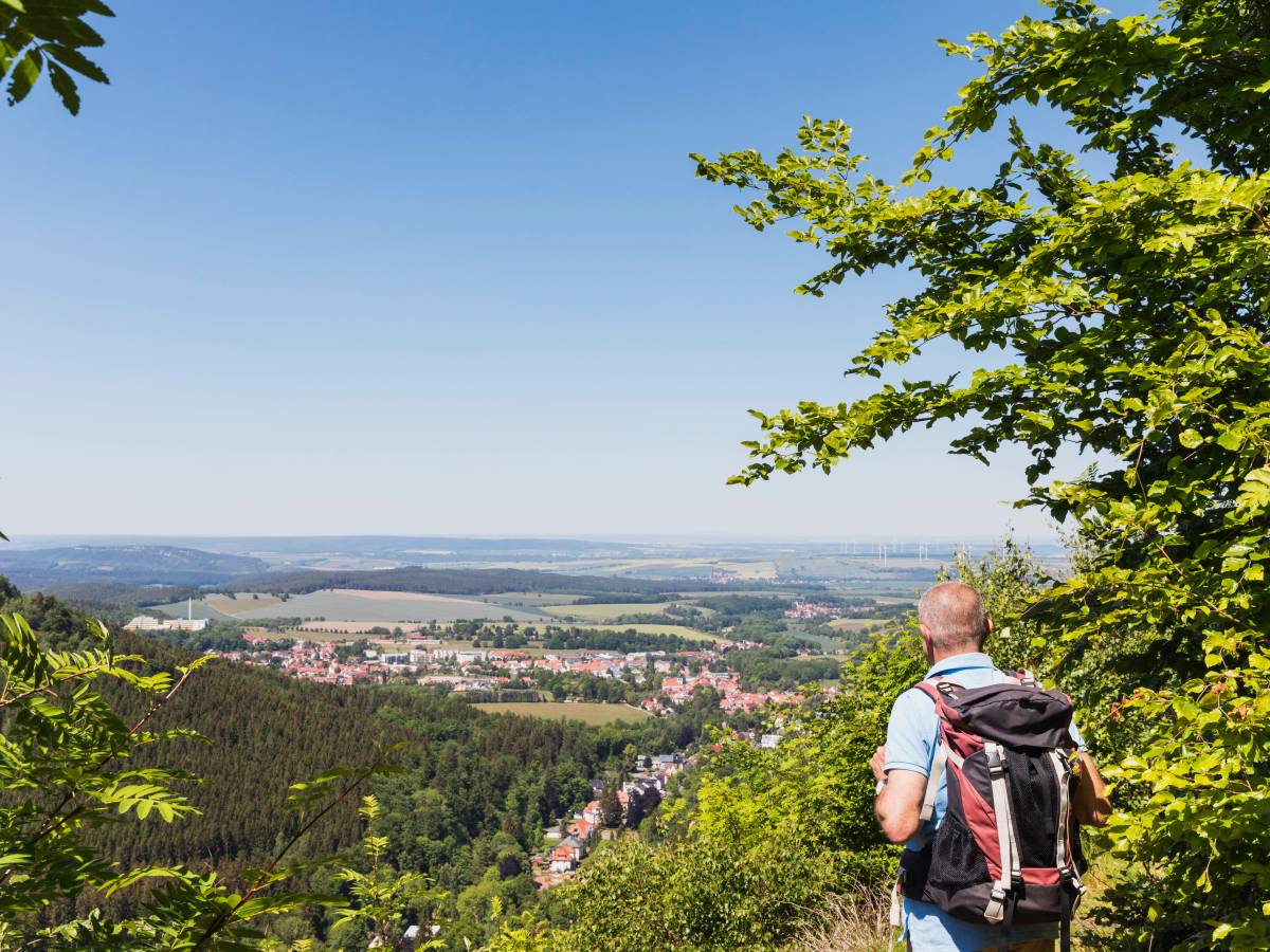 Ein Mann schaut in Bad Tabarz im ThÃ¼ringer Wald in die Ferne