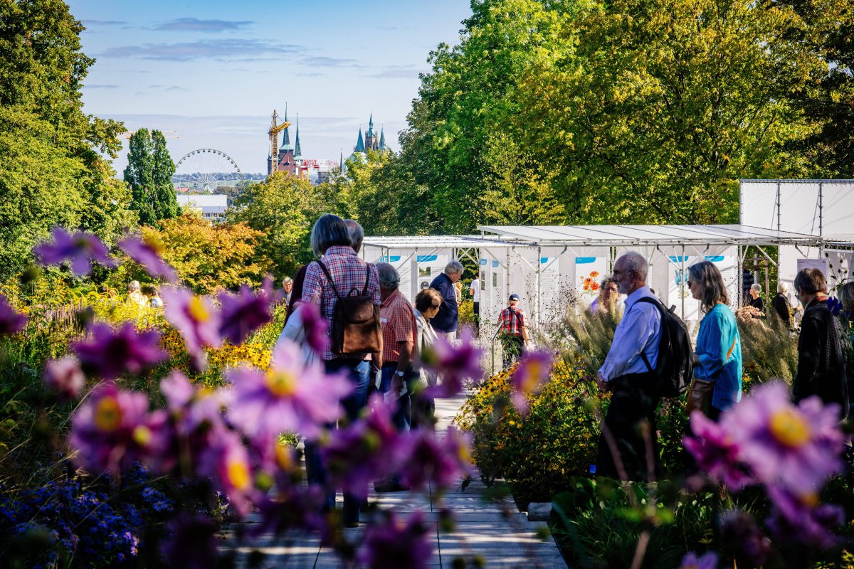 Buga in Erfurt mit vielen Gästen und Blick auf die Stadt