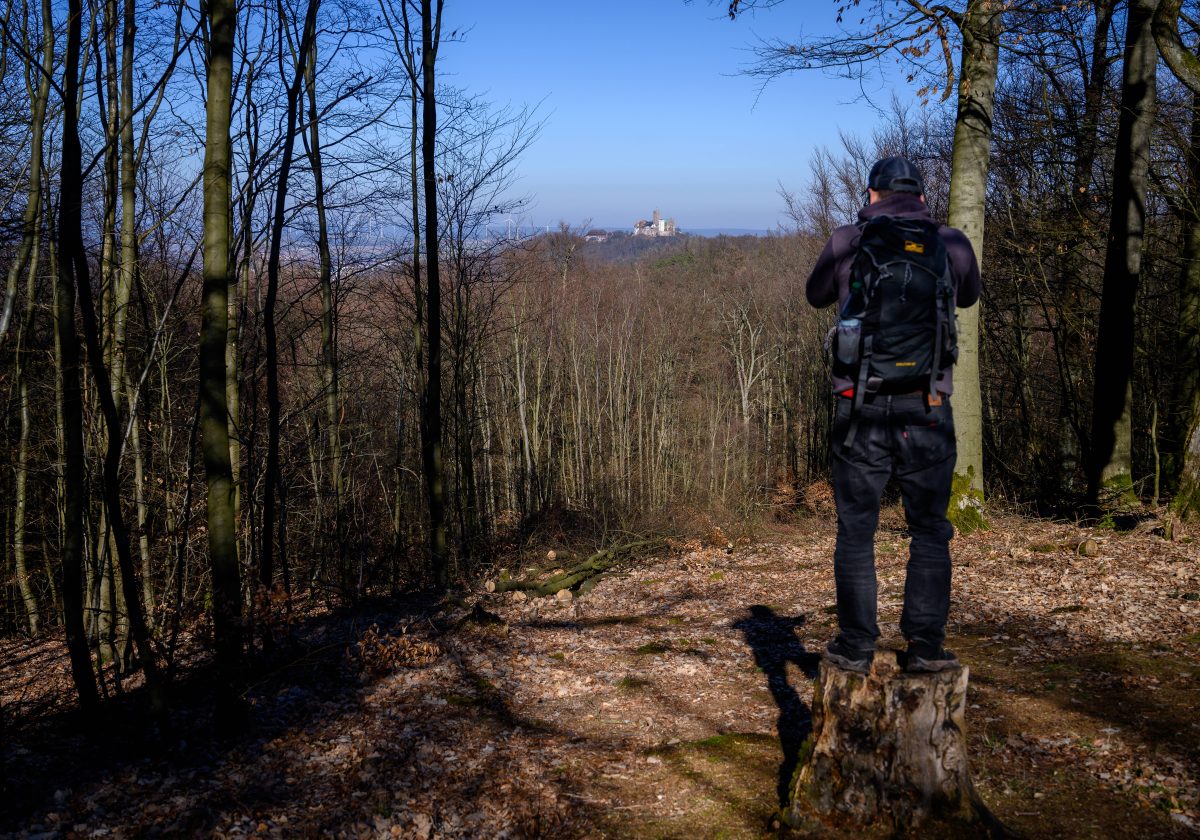 Ein Wanderweg im ThÃ¼ringer Wald erstrahlt im neuen Gewand. (Symbolbild)