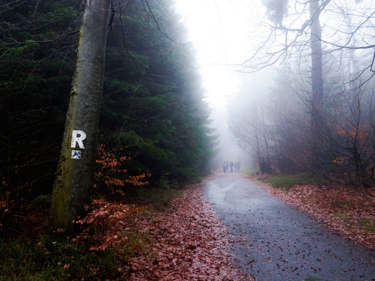 ThÃ¼ringer Wald