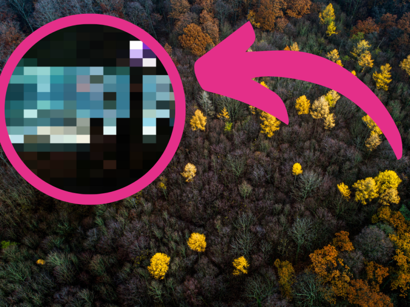 Thüringer Wald