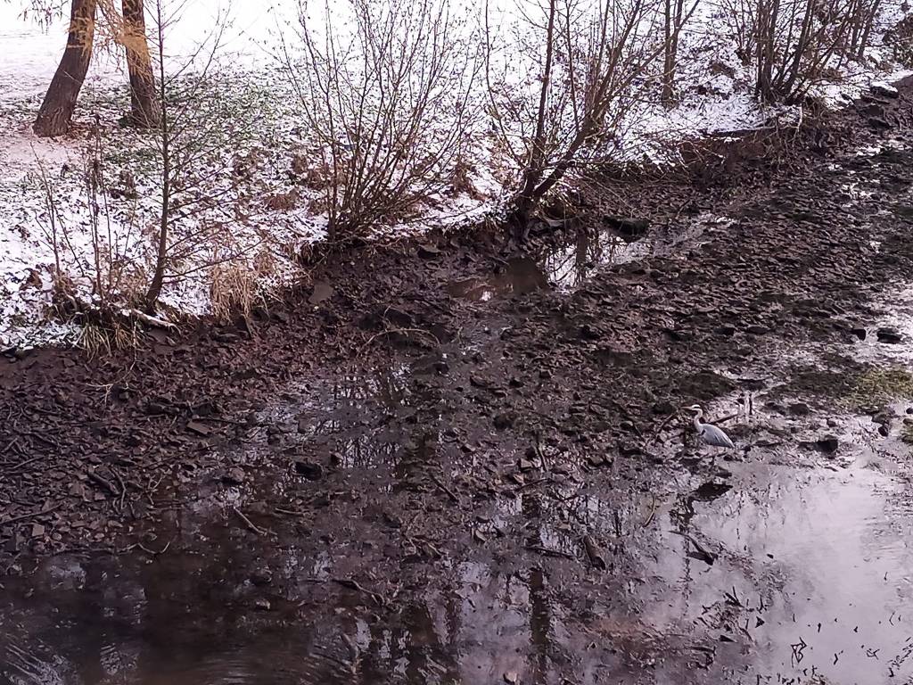Viel Wasser ist in der Ilm aktuell nicht mehr zu sehen.