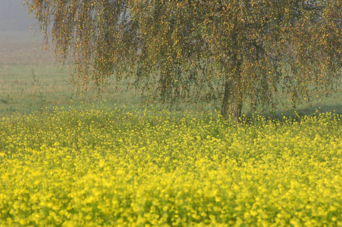 Wetter in Thüringen