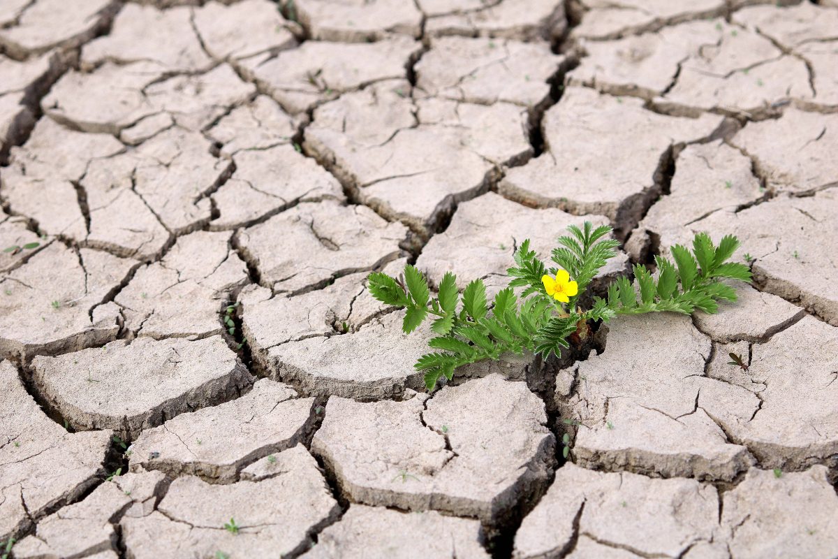 April, April, der macht, was er will. Auch in Thüringen könnte der Natur kommenden Monat eine Gefahr lauern. Ganz klar ist das aber noch nicht.