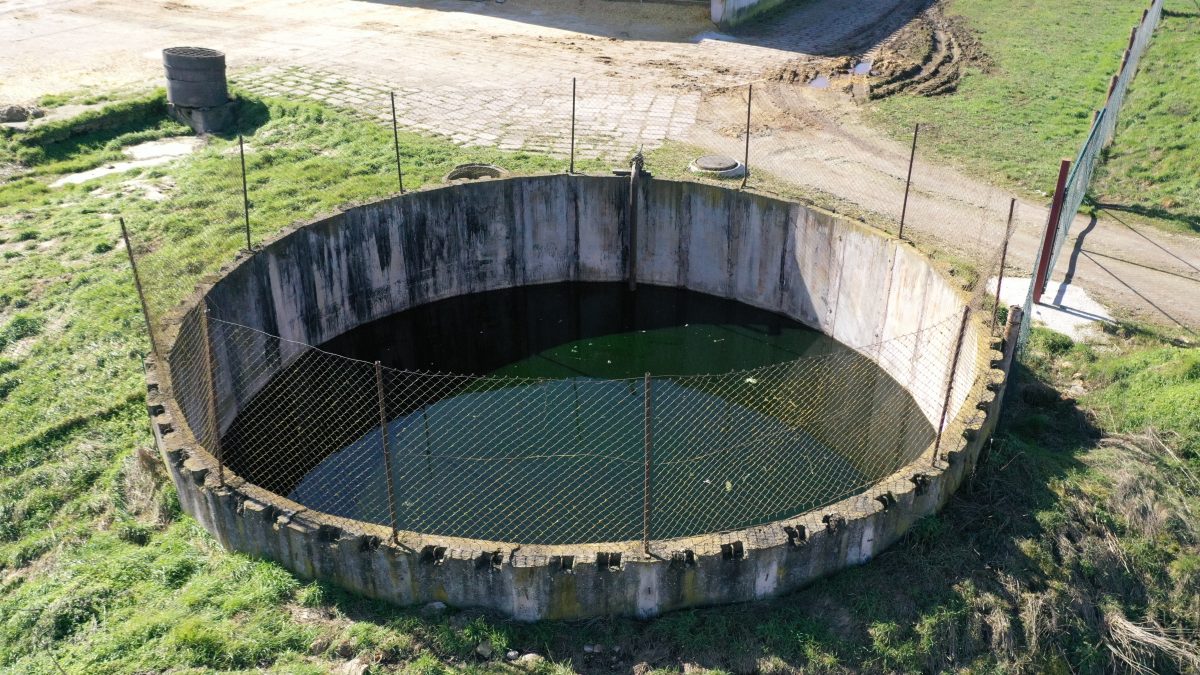 In diesem Becken wurden die Katzen-Kadaver in ThÃ¼ringen gefunden.