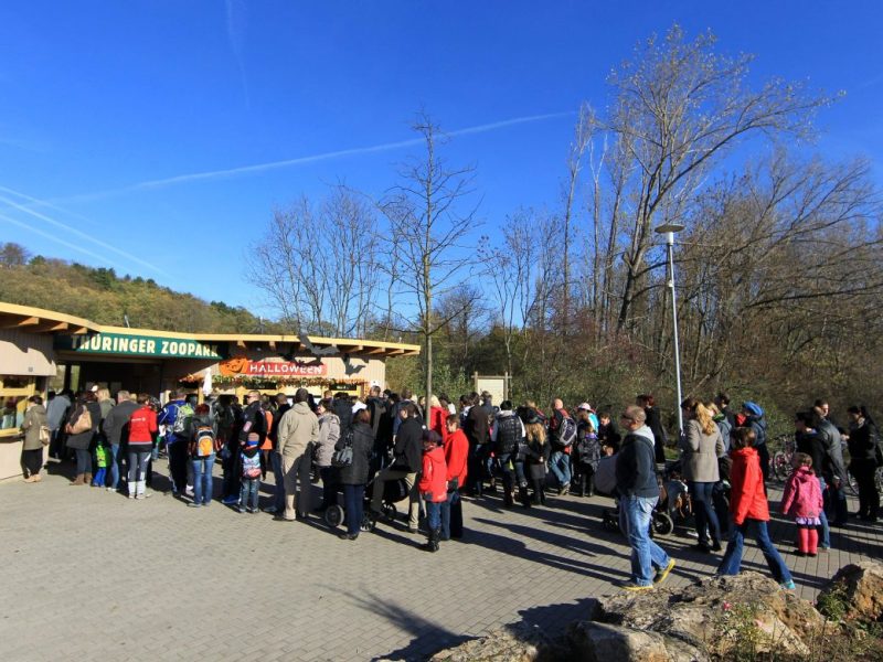 Die Besucher des Erfurter Zoos können ab sofort tierische Neuzugänge bewundern. (Archivbild)