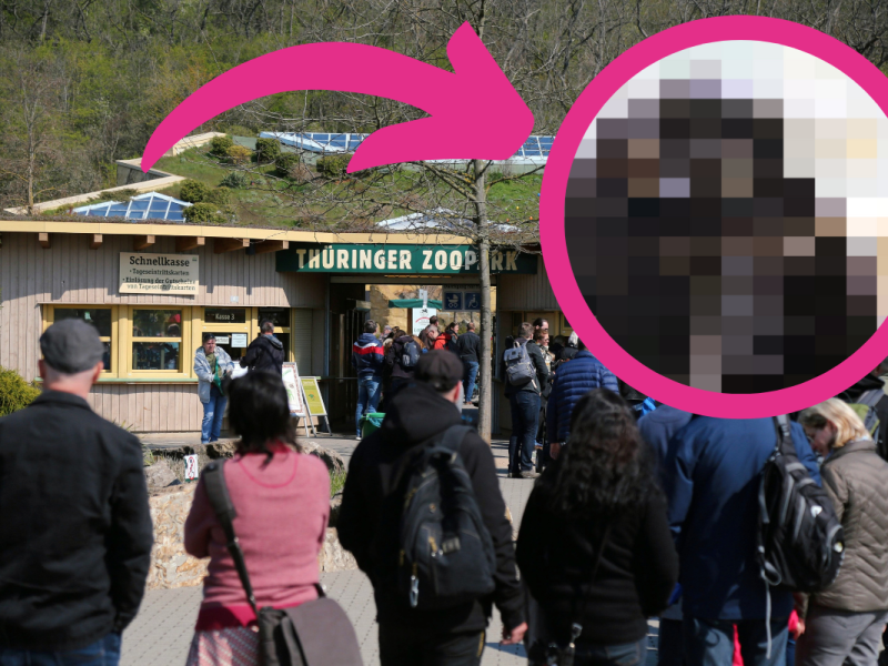 zoo erfurt