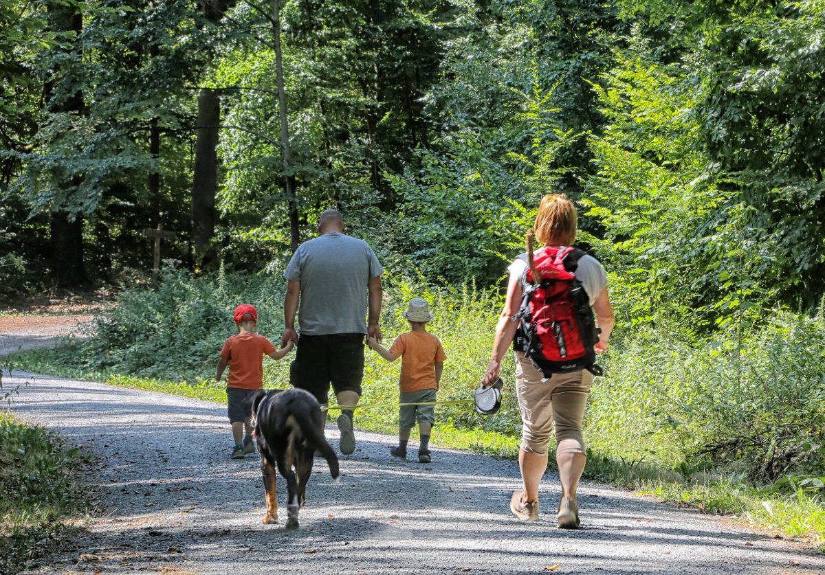 SpaziergÃ¤nger im Sommer im Wald