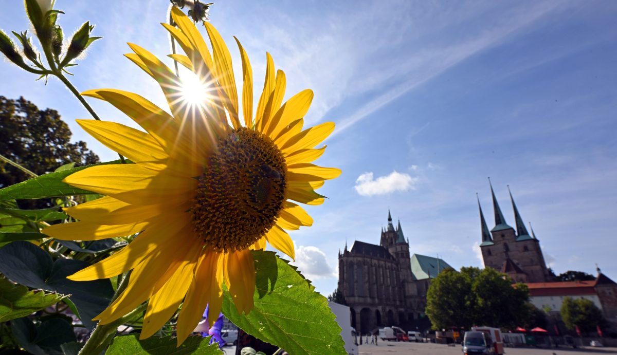 Der Sommer gibt ein unerwartetes Comeback. Auch die ThÃ¼ringer dÃ¼rfen sich Ã¼ber schÃ¶nstes SpÃ¤tsommer-Wetter freuen. Hier kommen die Aussichten!