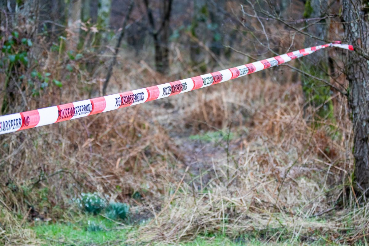 Im Stadtwald in Gera (ThÃ¼ringen) haben Pilzsucher eine Leiche entdeckt. (Symbolbild)