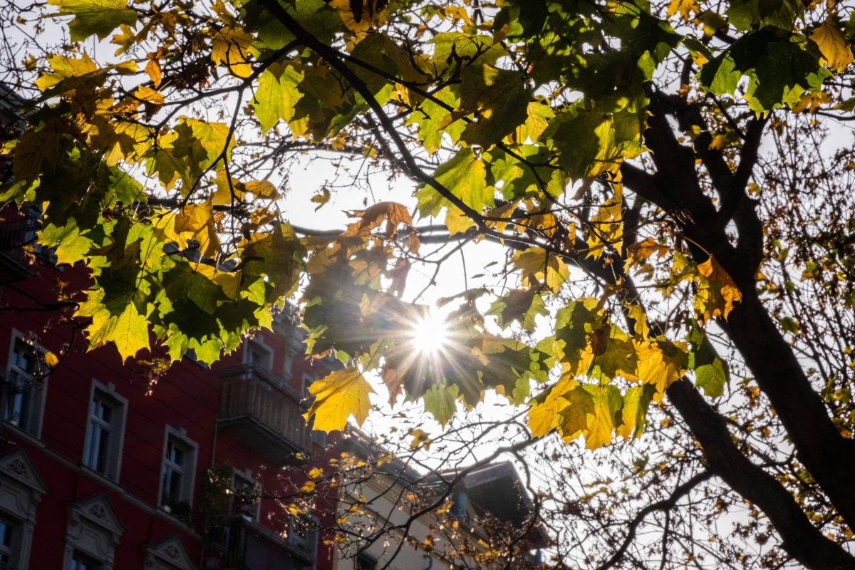 Wetter in Thueringen