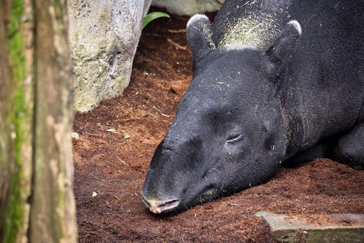 zoo leipzig