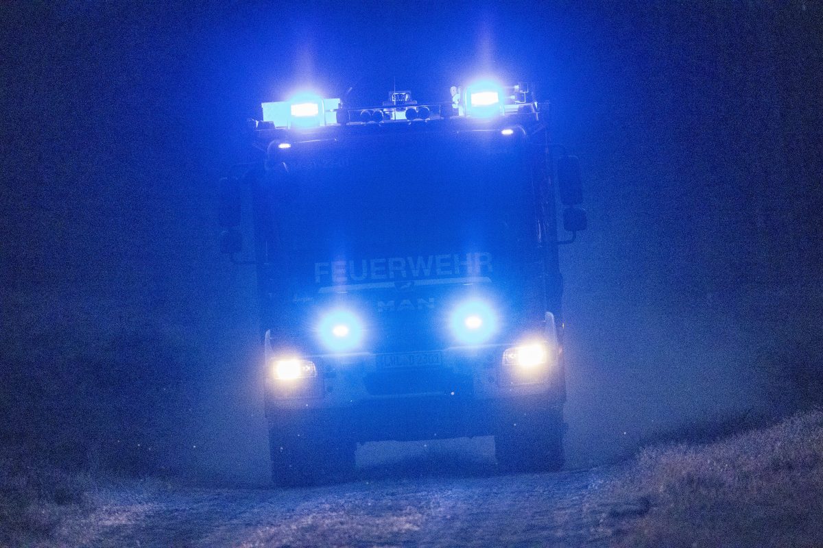 Am Donnerstagabend hat es in einem Wald in ThÃ¼ringen gebrannt. Der Schaden ist groÃŸ. Immerhin wurde niemand verletzt.